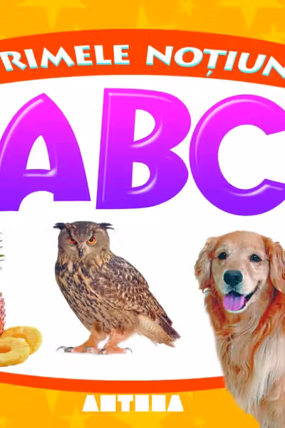 Primele notiuni: ABC