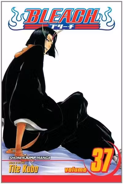Bleach Vol. 37