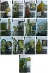 Istoria culturii si civilizatiei (13 volume)