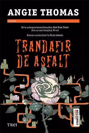 Trandafir de asfalt