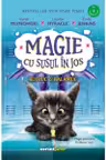 Magie cu susul in jos. Bucluc & balamuc
