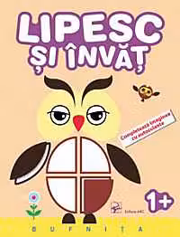 Lipesc si invat. Bufnita