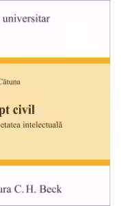 Drept civil. Proprietatea intelectuala