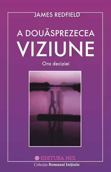A 12 viziune