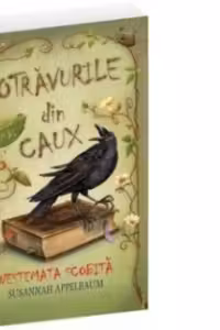 Nestemata scobita