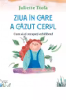 Ziua in care a cazut cerul. Cum sa-ti recapeti echilibrul