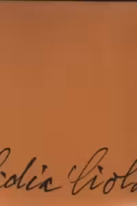 Lidia Ciolac. Metamorfozele aleatorii ale desenului