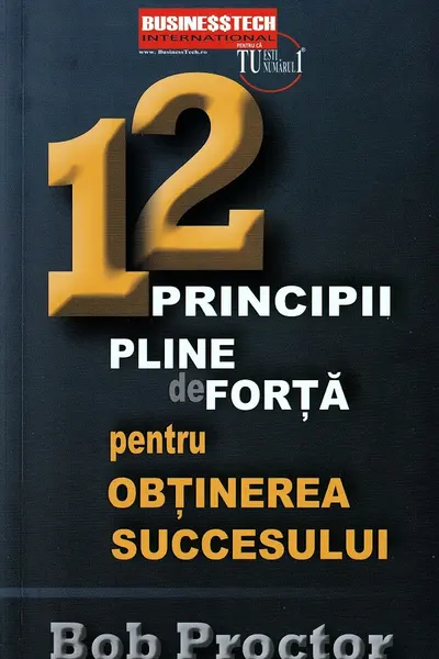12 principii pline de forta pentru obtinerea succesului