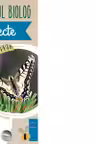 Micul Biolog - Insecte
