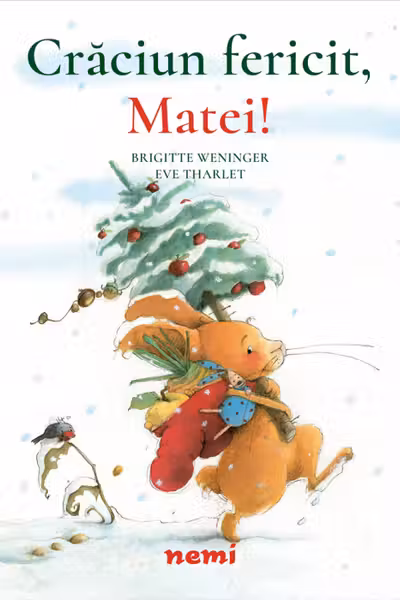 Craciun fericit, Matei!