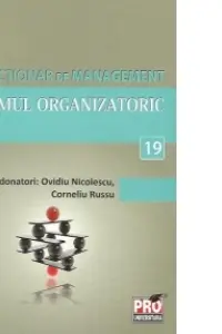Minidicționar de management 19: Sistemul organizatoric