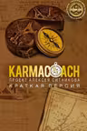 KARMACOACH. Краткая версия