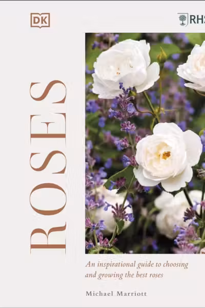 RHS Roses