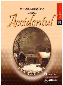 Accidentul