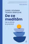 De ce meditam