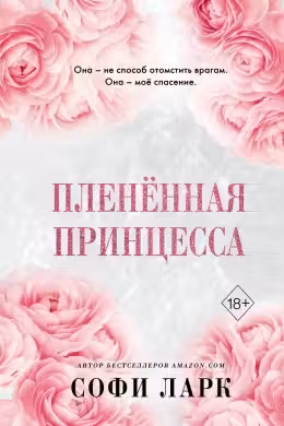 Пленённая принцесса ( 2)