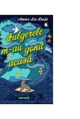 Fulgerele m-au gonit de acasa