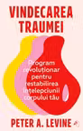 Vindecarea traumei