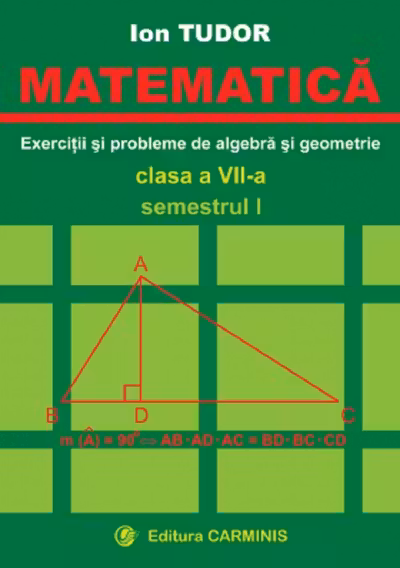 Matematică. Exerciții și probleme de algebră și geometrie - Clasa 7 - Semestrul 1