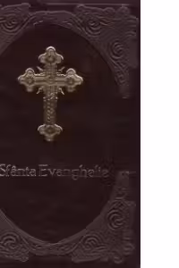 Text Evanghelie. Format mic