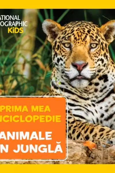 Animale din jungla