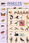 Plansa. Pasari. Insecte si alte nevertebrate.