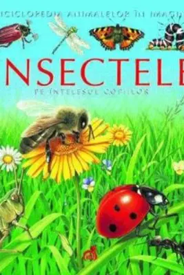 Insectele pe intelesul copiilor