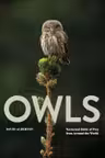 Owls