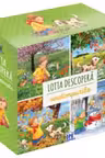 Lotta descopera anotimpurile