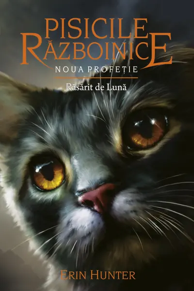 Rasarit de luna