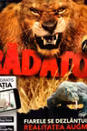 Pradatori