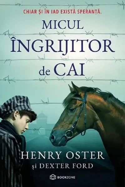 Micul ingrijitor de cai