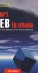 Situri web la cheie. Solutii profesionale de implementare