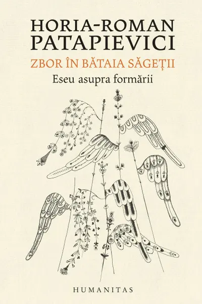 Zbor in bataia sagetii