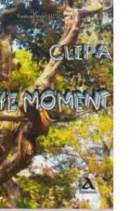Clipa. The Moment