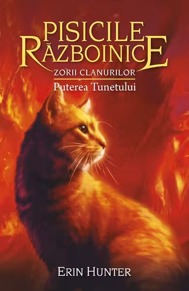 Pisicile razboinice Vol 26