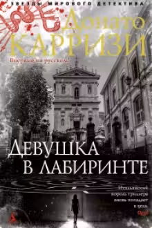 Девушка в лабиринте. Карризи