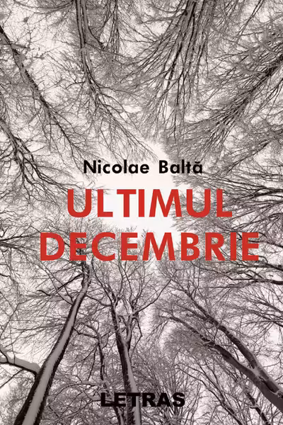 Ultimul decembrie- Nicolae Balta