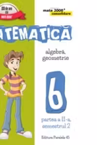 Matematica. Algebra, Geometrie. Clasa a VI-a. Consolidare. Partea a II-a, Semestrul 2 (anul scolar 2016-2017)