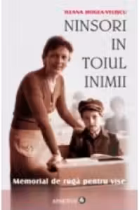 Ninsori in toiul inimii. Memorial de ruga pentru vise