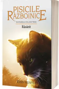 Rasarit