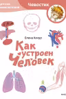 Как устроен человек