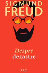 Despre dezastre