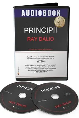 Audiobook. Principii