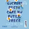 Lucruri peste care nu putem trece (seria Knockemout, vol. 1) (audiobook)