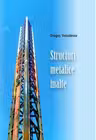 Structuri metalice inalte