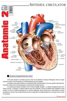 Pliant Anatomie 2