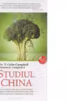 Studiul China
