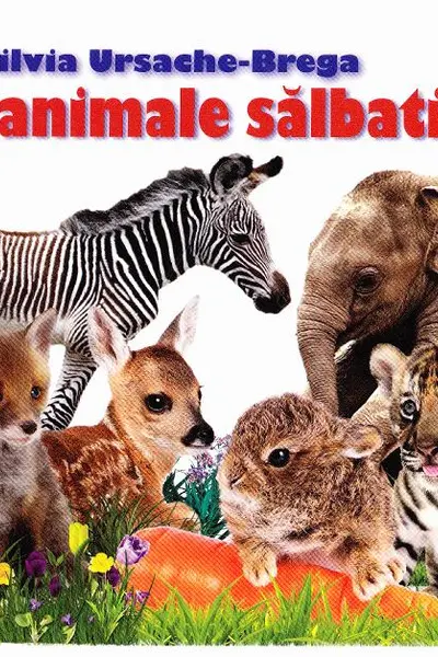 Eu sunt mic Pui de animale salbatice