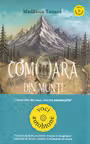 Comoara din munti